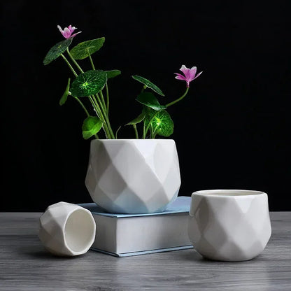 Plant Pots Indoor Round Coastal Flower Seeds