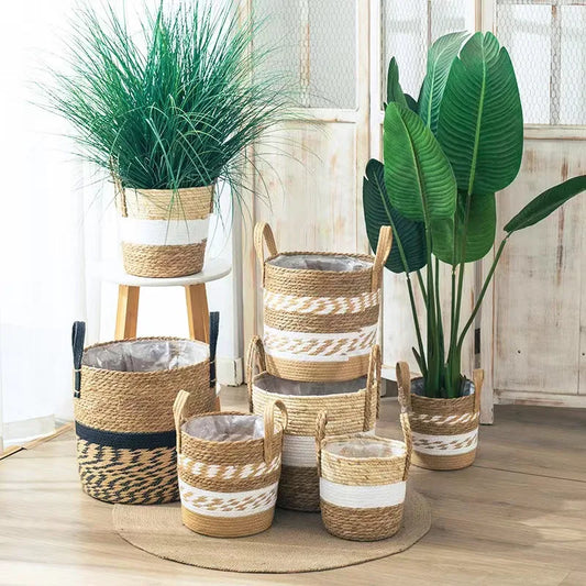 Seagrass Woven Storage Baskets