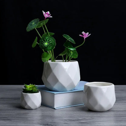 Plant Pots Indoor Round Coastal Flower Seeds