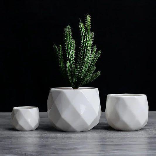 Plant Pots Indoor Round Coastal Flower Seeds