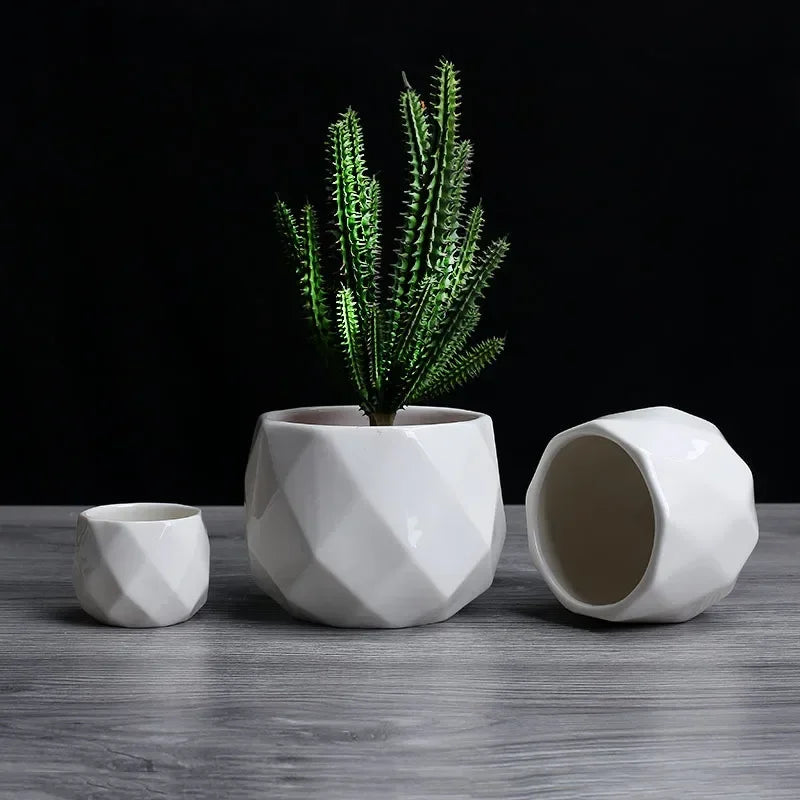 Plant Pots Indoor Round Coastal Flower Seeds